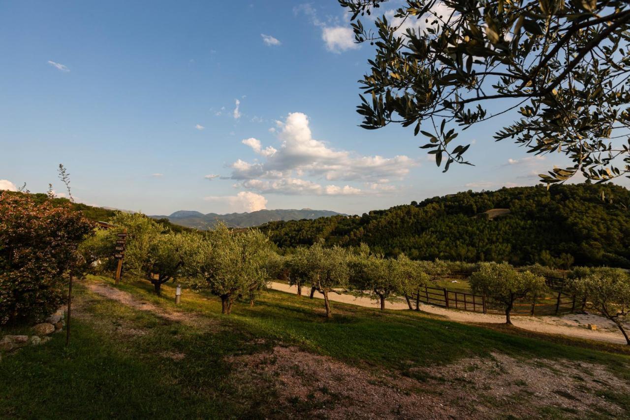 Agriturismo Agrileisuretime سبوليتو المظهر الخارجي الصورة