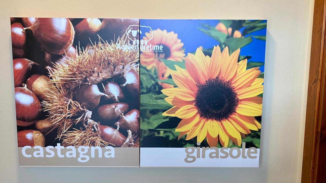 Agriturismo Agrileisuretime سبوليتو المظهر الخارجي الصورة