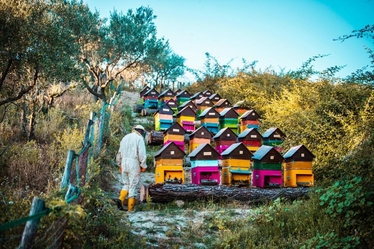 Agriturismo Agrileisuretime سبوليتو المظهر الخارجي الصورة
