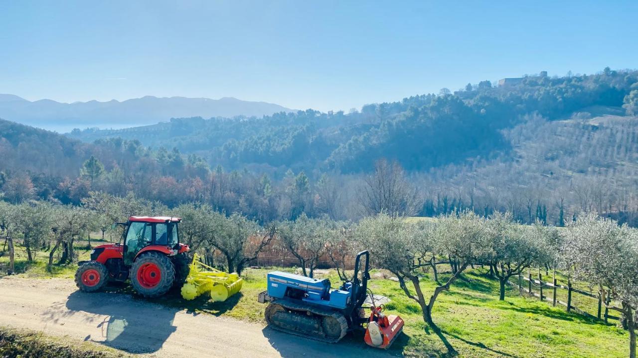 Agriturismo Agrileisuretime سبوليتو المظهر الخارجي الصورة